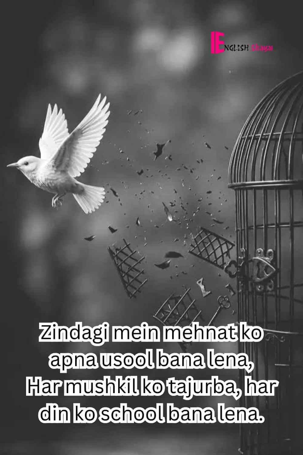 Mehnat Shayari in English on Life