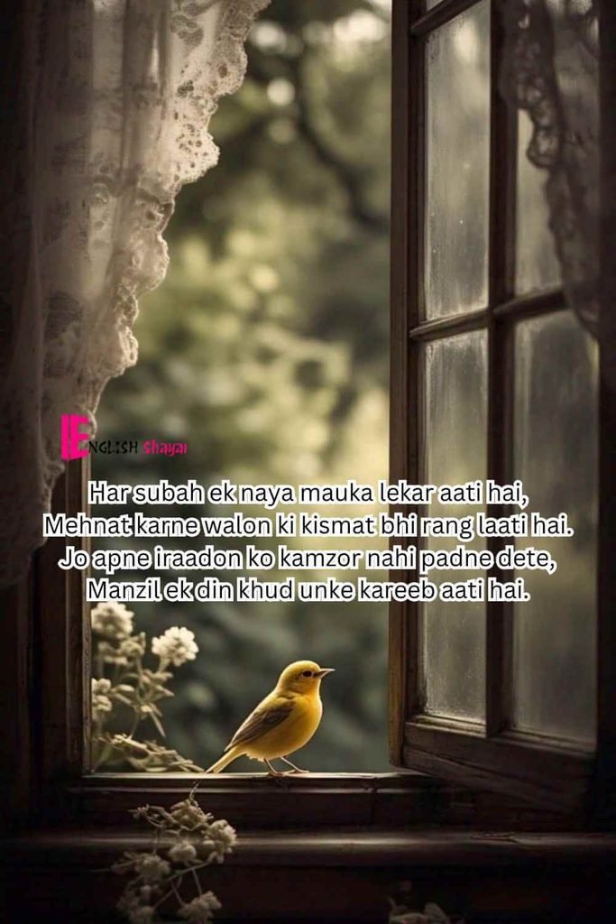 Best Motivational Shayari in English